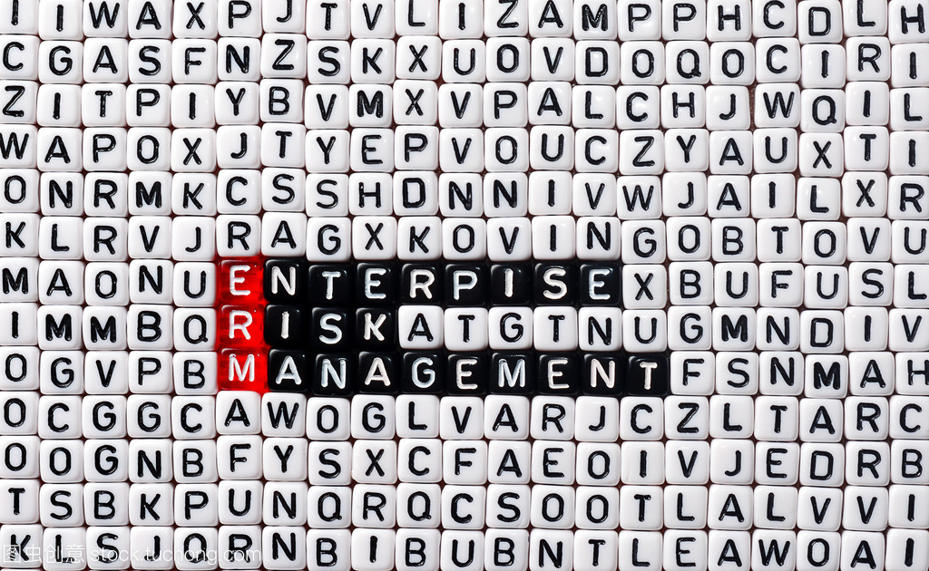 erm 企业风险管理