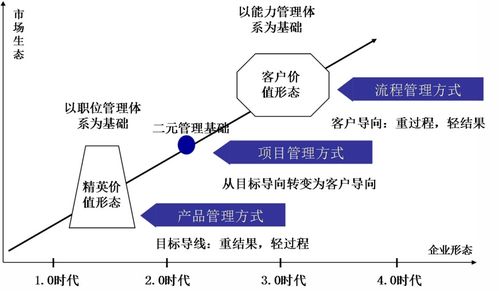 图解传统企业转型三大引擎 战略、技术与组织管理的协同进化